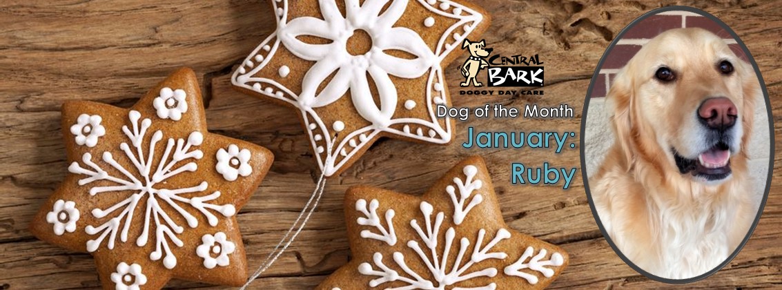 Ruby DOM of January
